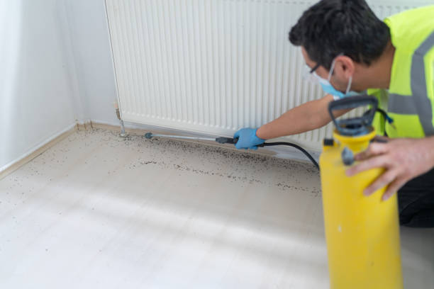 Best Flea Control Services  in Westbury, NY